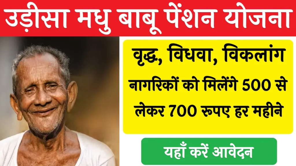 Madhu Babu Pension Yojana 2024